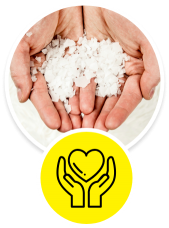 A magnézium élettani szerepe (ikon)